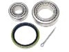 Juego, rodamiento rueda Wheel bearing kit:1 053 115