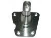 Espiga Stub Axle:0418123