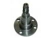 Цапфа оси Stub Axle:QWA026