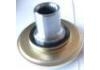 Espiga Stub Axle:1102-3103015-10