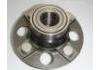 Wheel Hub Bearing:HUB008-49