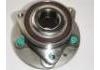 Cubo de rueda Wheel Hub Bearing:13502829