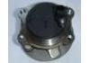 Cubo de rueda Wheel Hub Bearing:1706172