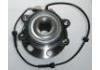 Wheel Hub Bearing:40202-JR71B