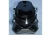 Wheel Hub Bearing:43202-ED000