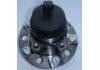 комплекс ступичного подшипника Wheel Hub Bearing:QW3779