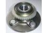 Wheel Hub Bearing:VKBA3204