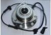 Radnabe Wheel Hub Bearing:12413037