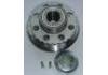 Radnabe Wheel Hub Bearing:PW823106