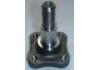 Espiga Stub Axle:7700416374