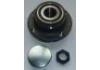 轮毂轴承单元 Wheel Hub Bearing:VKBA6516