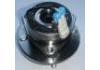 Radnabe Wheel Hub Bearing:95951600