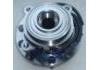 комплекс ступичного подшипника Wheel Hub Bearing:52132000AB