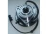 Wheel Hub Bearing:513270