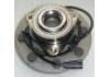 Cubo de rueda Wheel Hub Bearing:52010206AA