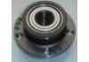 轮毂轴承单元 Wheel Hub Bearing:6RD501611