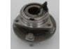 Radnabe Wheel Hub Bearing:9041264