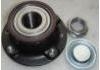 комплекс ступичного подшипника Wheel Hub Bearing:3748.A5