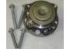 Wheel Hub Bearing:2223340206