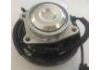 Radnabe Wheel Hub Bearing:512493