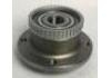 комплекс ступичного подшипника Wheel Hub Bearing:E240310J-B0100