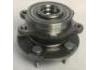 Wheel Hub Bearing:QW31066