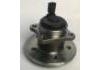 комплекс ступичного подшипника Wheel Hub Bearing:QW31070