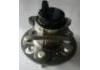 Wheel Hub Bearing:HAEV-3104100