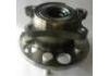 Wheel Hub Bearing:QW31091