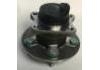 комплекс ступичного подшипника Wheel Hub Bearing:QW31046