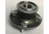 Radnabe Wheel Hub Bearing:24510321