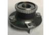 комплекс ступичного подшипника Wheel Hub Bearing:QW21060