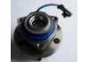 Cubo de rueda Wheel Hub Bearing:513198