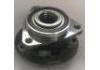 комплекс ступичного подшипника Wheel Hub Bearing:QW31099