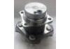 комплекс ступичного подшипника Wheel Hub Bearing:QW31191