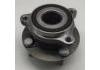 Wheel Hub Bearing:D09H-33-04X