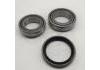 Radlagersatz Wheel Bearing Rep. kit:4142503203