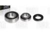 Wheel Bearing Rep. kit:2121240308086