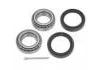 Wheel Bearing Rep. kit:5172022000