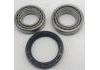 Radlagersatz Wheel Bearing Rep. kit:266733750103