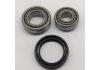 ремкомплект подшипники Wheel Bearing Rep. kit:9036817017