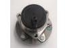 Radnabe Wheel Hub Bearing:3104120U7300