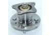 Wheel Hub Bearing:7466994