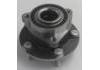 Wheel Hub Bearing:3103030BA010R
