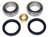 Radlagersatz Wheel bearing kit:77 01 468 409