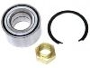 Kit, roulement de roue Wheel bearing kit:5890987