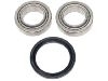 Juego, rodamiento rueda Wheel bearing kit:5 024 251