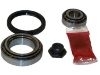 Juego, rodamiento rueda Wheel Bearing  kit:251 498 625 A