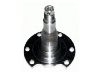 Stub Axle:4A0 501 117 A